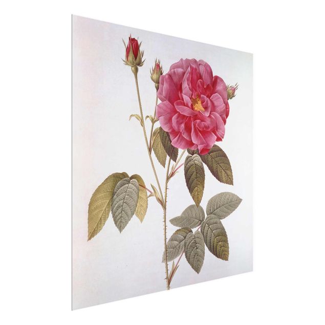 Kunst stilarter Pierre Joseph Redoute - Apothecary's Rose