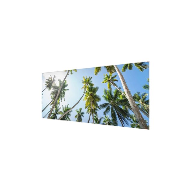 Billeder grøn Palm Tree Canopy