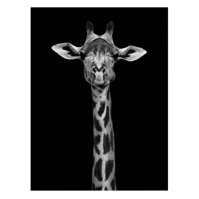 Billeder på lærred dyr Dark Giraffe Portrait