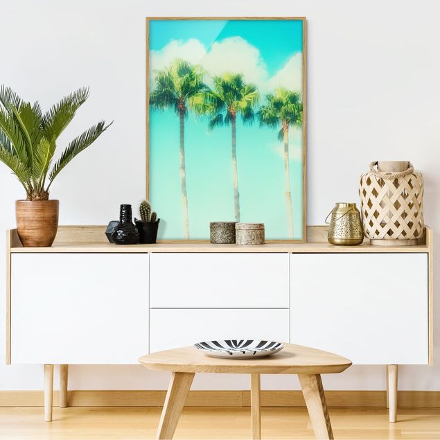 Billeder landskaber Palm Trees Against Blue Sky