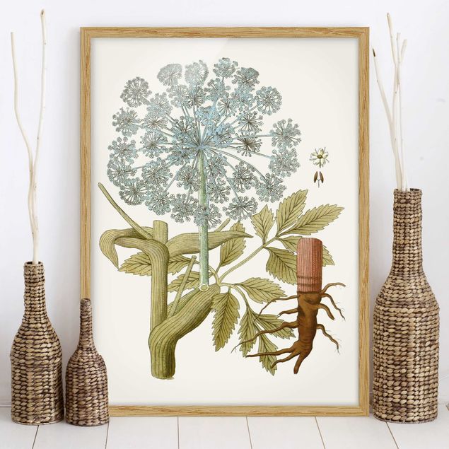 Indrammede plakater blomster Wild Herbs Board III