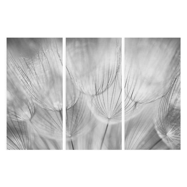 Billeder på lærred sort og hvid Dandelions Macro Shot In Black And White