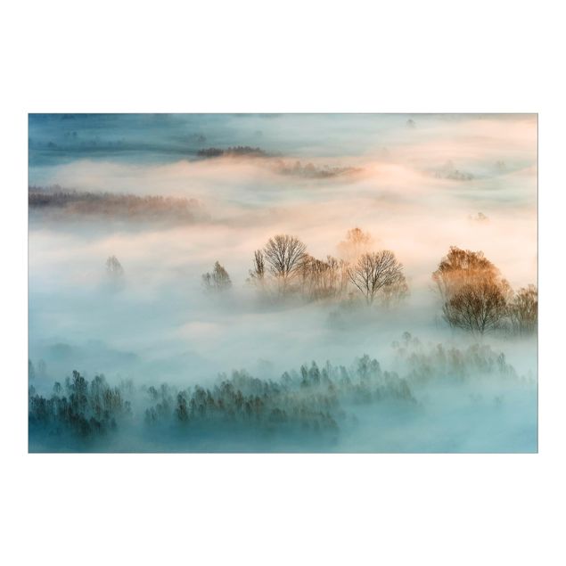 Fototapet beige Fog At Sunrise