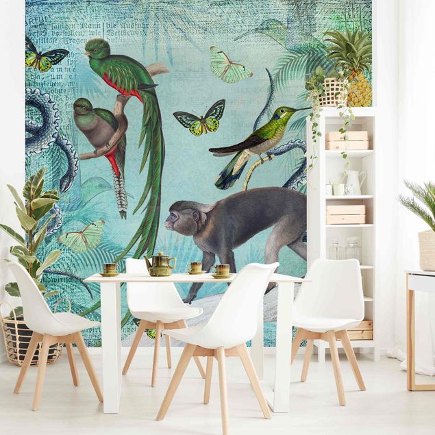 Tapet fugle Colonial Style Collage - Monkeys And Birds Of Paradise
