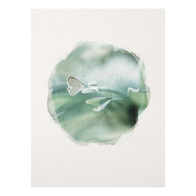 Billeder blomster WaterColours - Butterfly And Dew Drops In Pastel Green