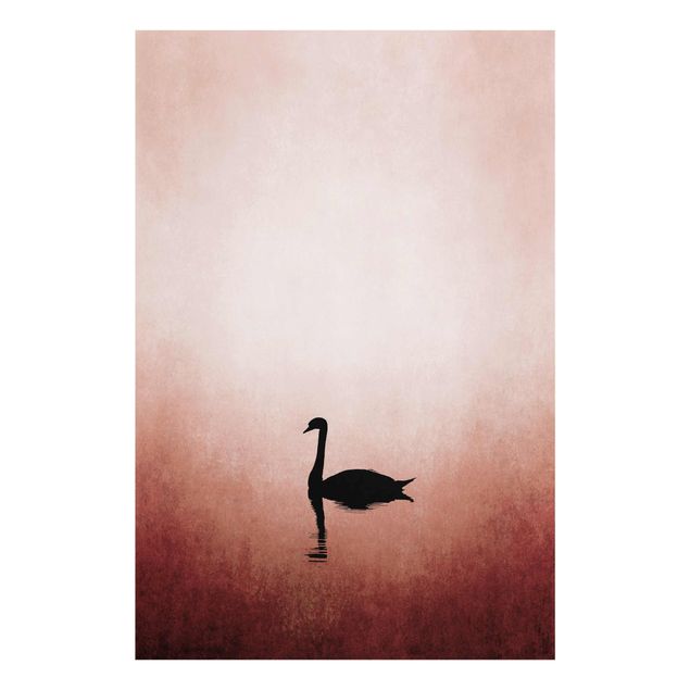 Glasbilleder dyr Swan In Sunset