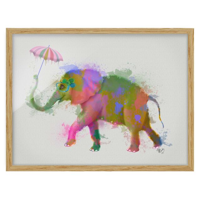 Indrammede plakater dyr Rainbow Splash Elephant