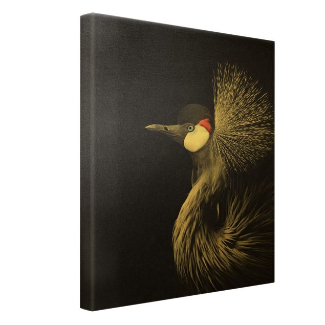 Billeder Monika Strigel Black Crowned Crane