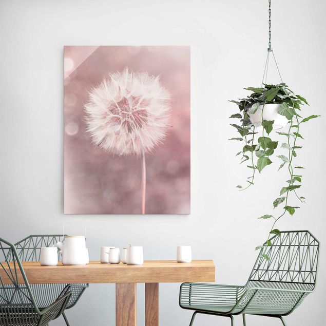 Glasbilleder blomster Dandelion Bokeh Light Pink