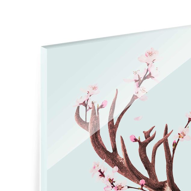 Billeder turkis Deer With Cherry Blossoms