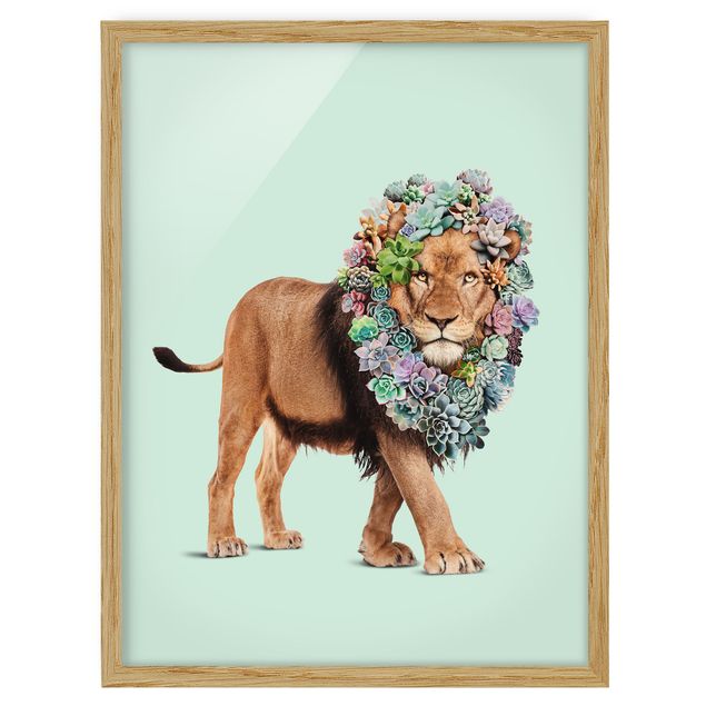 Indrammede plakater blomster Lion With Succulents
