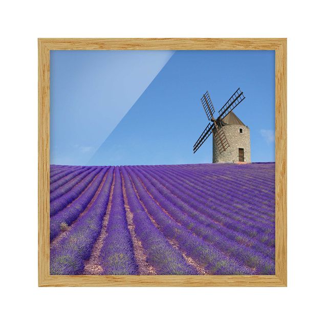 Indrammede plakater landskaber Lavender Scent In The Provence