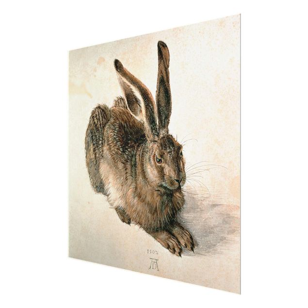 Billeder moderne Albrecht Dürer - Young Hare