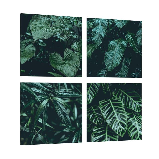 Billeder grøn Tropical Plants