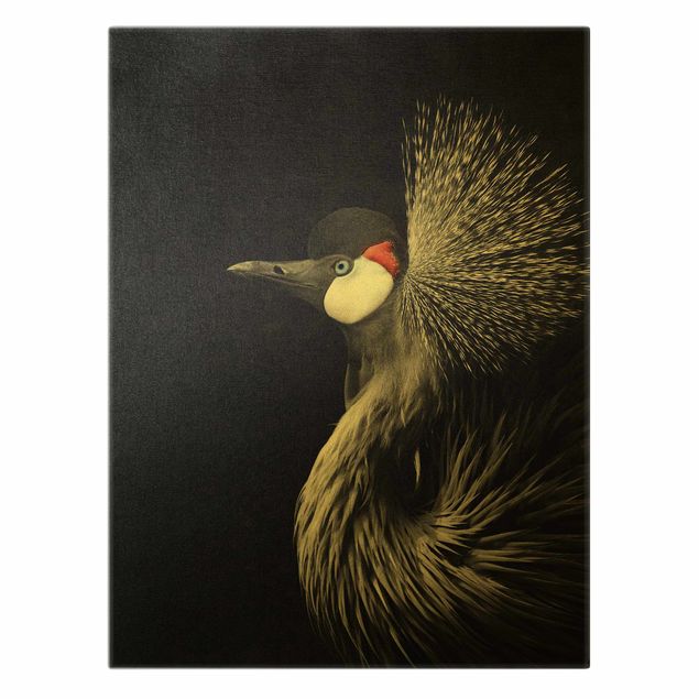 Billeder på lærred guld Black Crowned Crane