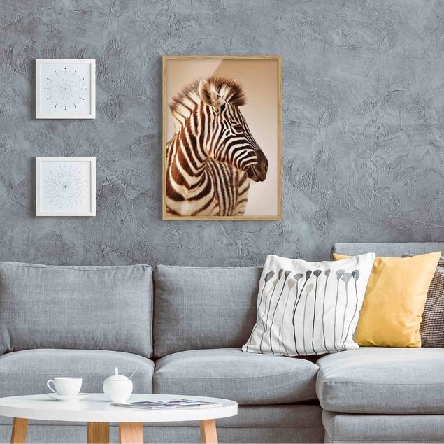 Indrammede plakater dyr Zebra Baby Portrait