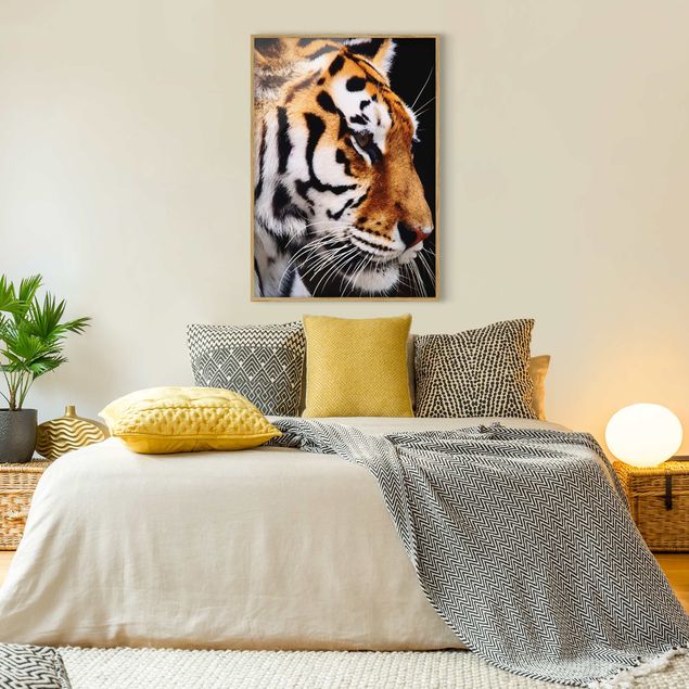 Indrammede plakater dyr Tiger Beauty