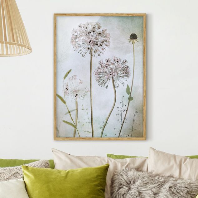 Indrammede plakater blomster Allium flowers in pastel