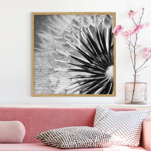 Indrammede plakater blomster Dandelion Black & White
