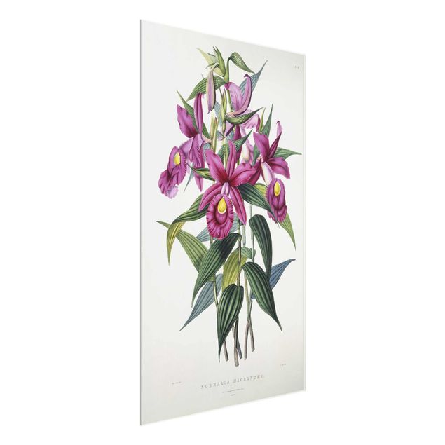 Kunst stilarter Maxim Gauci - Orchid I