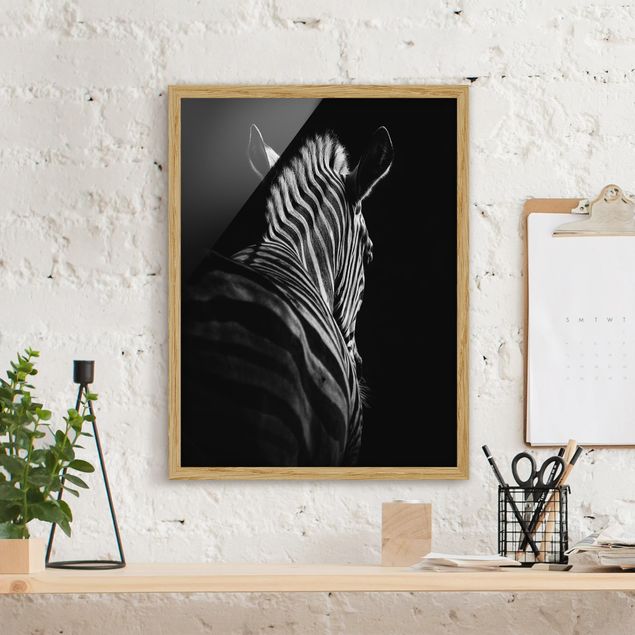 Billeder zebraer Dark Zebra Silhouette