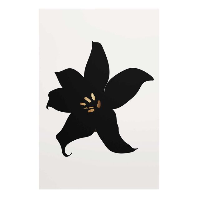 Glasbilleder blomster Graphical Plant World - Orchid Black And Gold