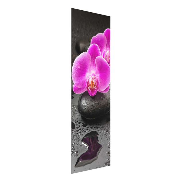 Glasbilleder blomster Pink Orchid Flower On Stones With Drops