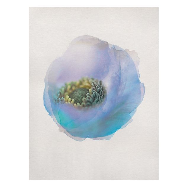 Billeder WaterColours - Anemone On The River