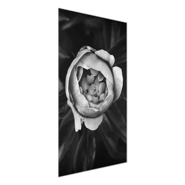 Glasbilleder blomster Peonies In Front Of Leaves Black And White