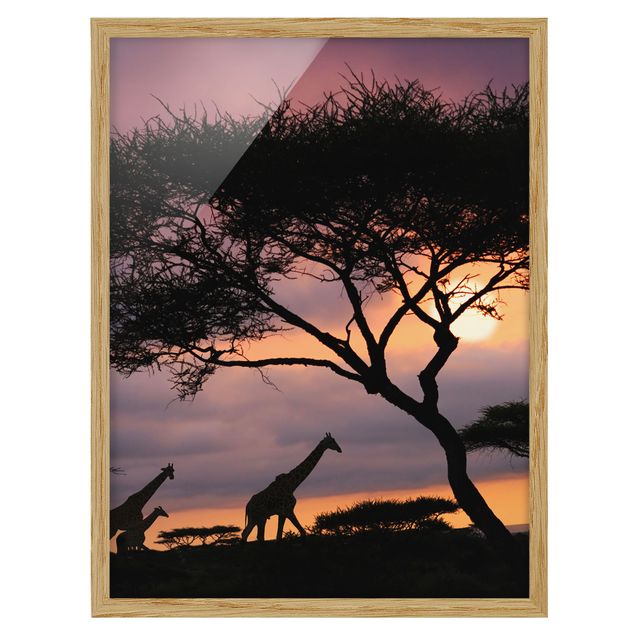 Billeder landskaber African Safari