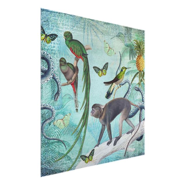 Billeder blomster Colonial Style Collage - Monkeys And Birds Of Paradise