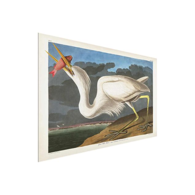 Billeder retro Vintage Board Great White Egret