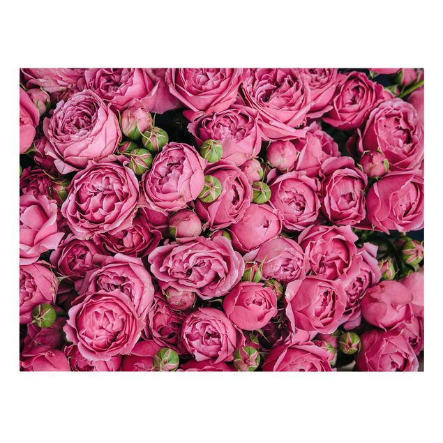 Billeder blomster Pink Peonies