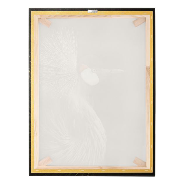 Billeder på lærred Black Crowned Crane