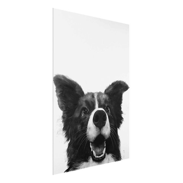 Glasbilleder sort og hvid Illustration Dog Border Collie Black And White Painting