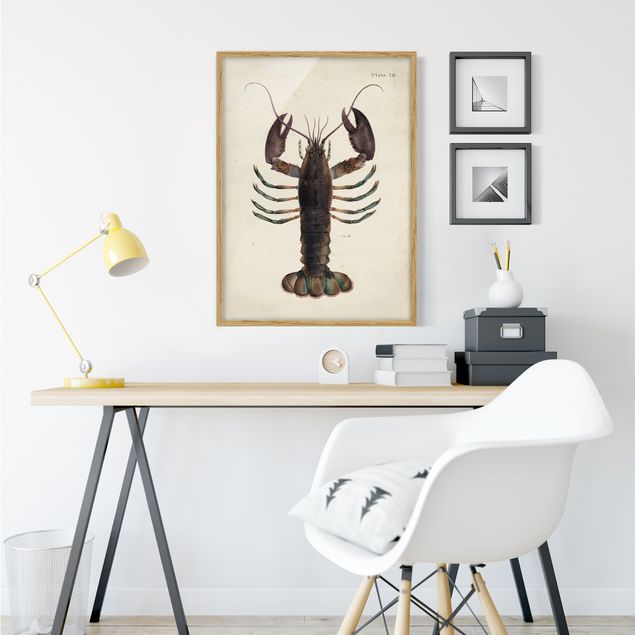 Indrammede plakater vintage Vintage Illustration Lobster
