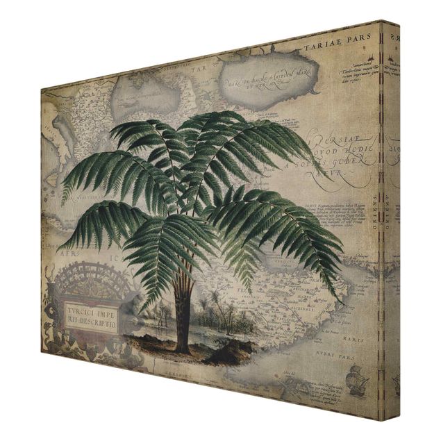 Billeder grøn Vintage Collage - Palm And World Map