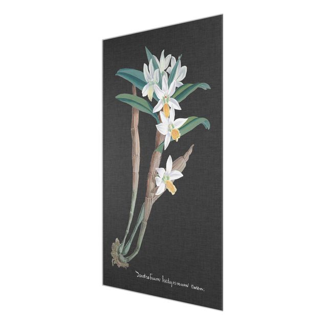 Billeder blomster White Orchid On Linen I
