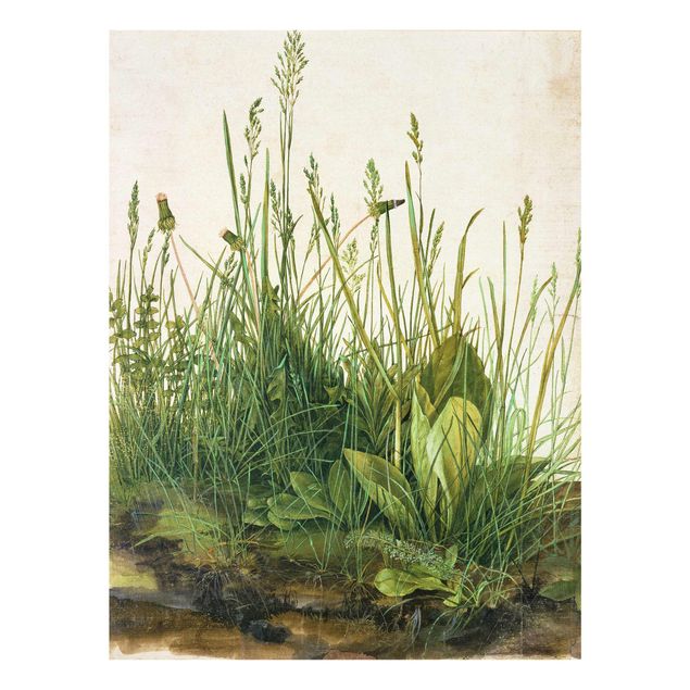 Billeder blomster Albrecht Dürer - The Great Lawn