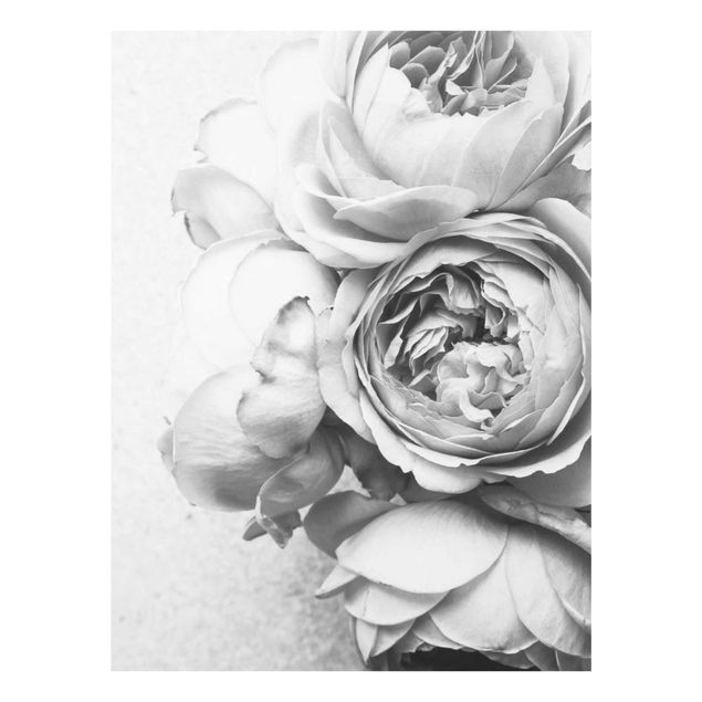 Glasbilleder sort og hvid Peony Flowers Black White