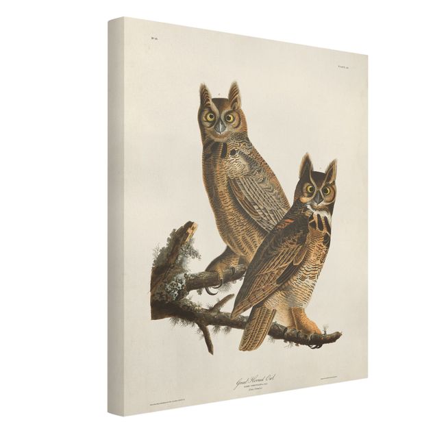 Billeder på lærred dyr Vintage Board Two Large Owls