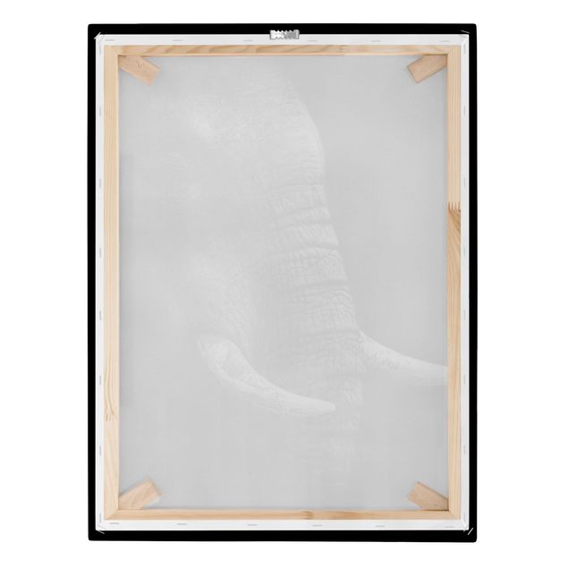 Billeder på lærred dyr Dark Elephant Portrait