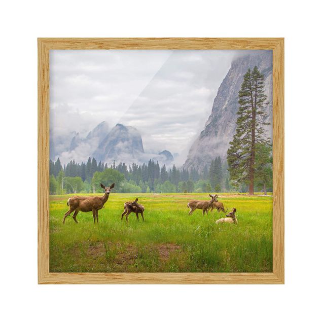 Indrammede plakater landskaber Deer In The Mountains