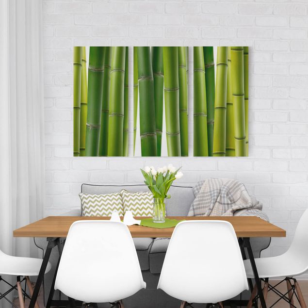 Billeder på lærred bambus Bamboo Plants