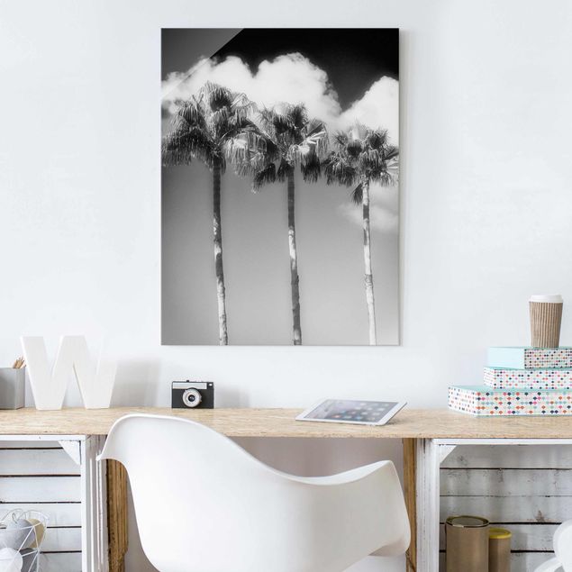 Glasbilleder landskaber Palm Trees Against The Sky Black And White