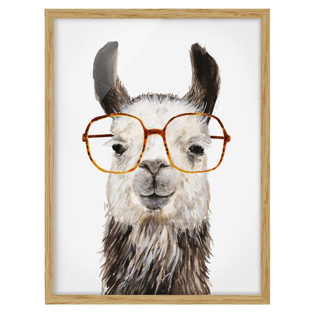 Billeder moderne Hip Lama With Glasses IV