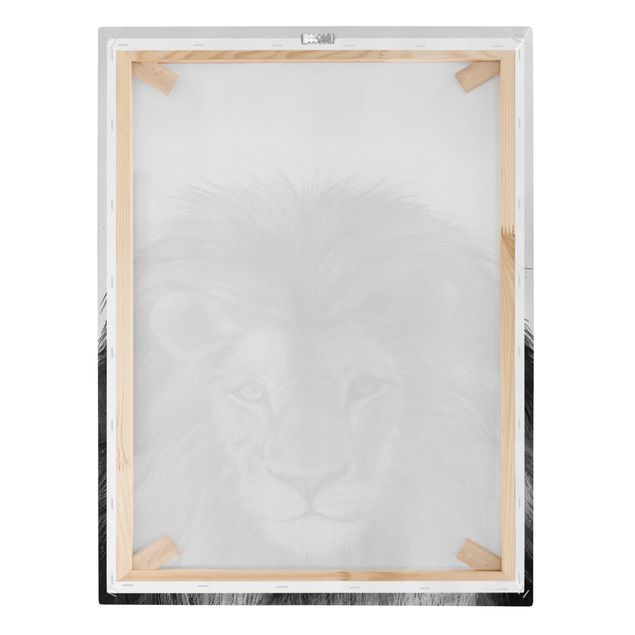 Billeder kunsttryk Illustration Lion Monochrome Painting