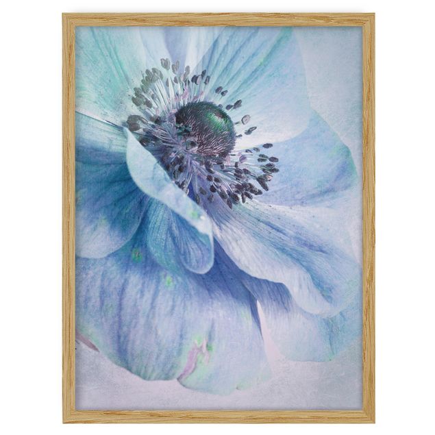 Billeder blomster Flower In Turquoise