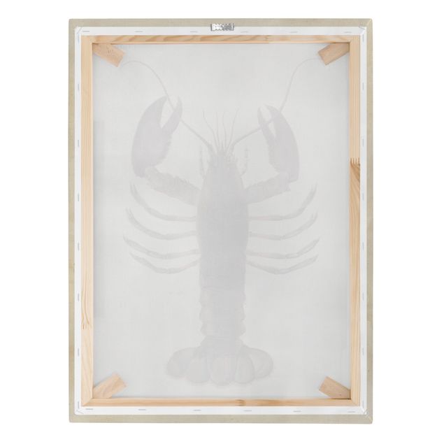 Lærredsbilleder Vintage Illustration Lobster