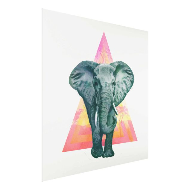 Glasbilleder dyr Illustration Elephant Front Triangle Painting